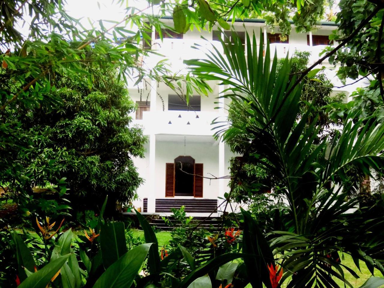 Sea Avenue - Eco Garden Hotel Tangalle Exterior foto