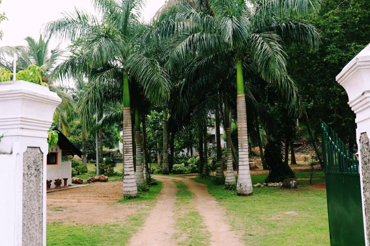 Sea Avenue - Eco Garden Hotel Tangalle Exterior foto