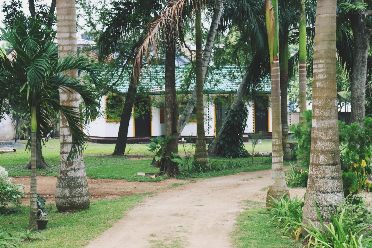 Sea Avenue - Eco Garden Hotel Tangalle Exterior foto
