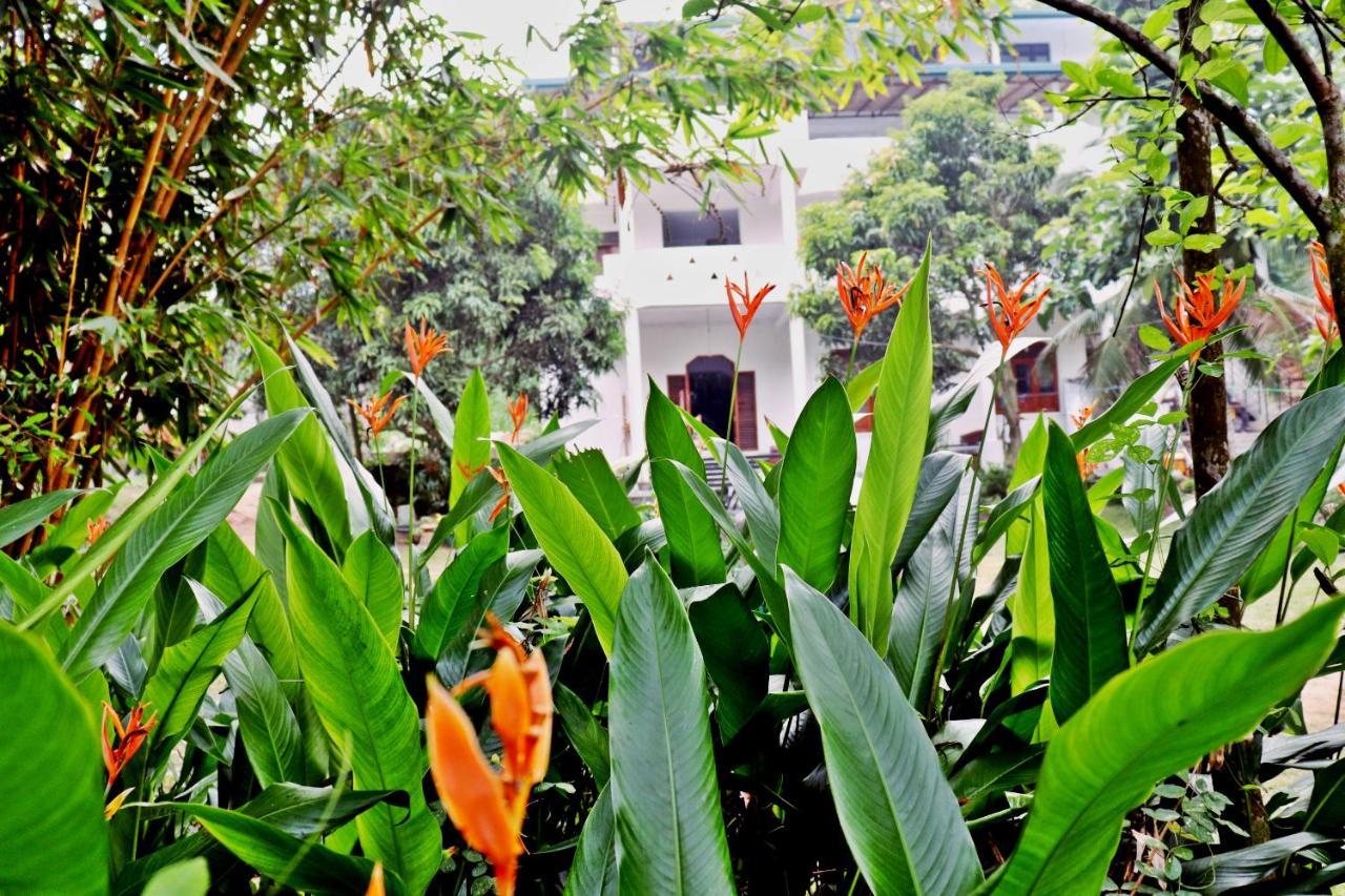Sea Avenue - Eco Garden Hotel Tangalle Exterior foto