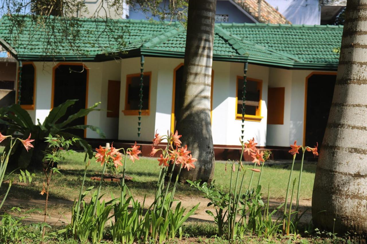 Sea Avenue - Eco Garden Hotel Tangalle Exterior foto
