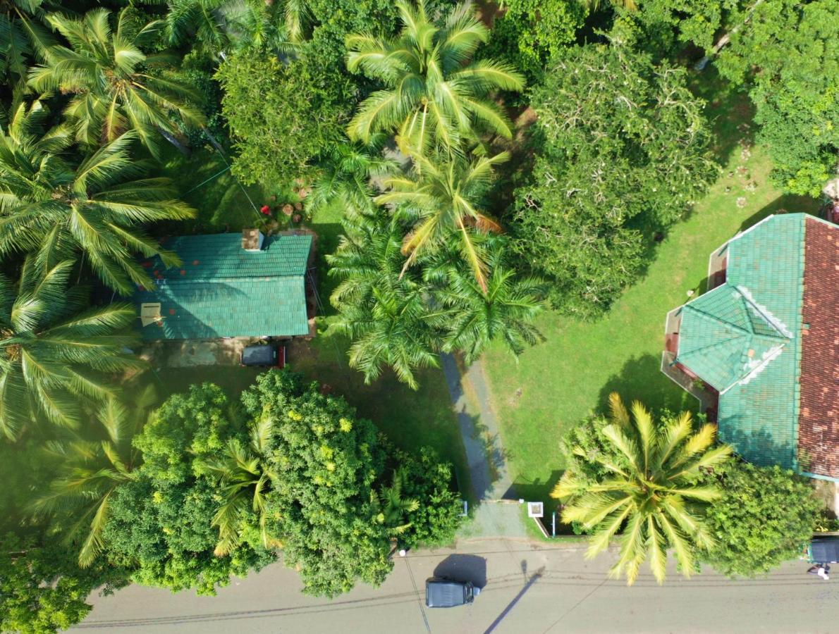 Sea Avenue - Eco Garden Hotel Tangalle Exterior foto
